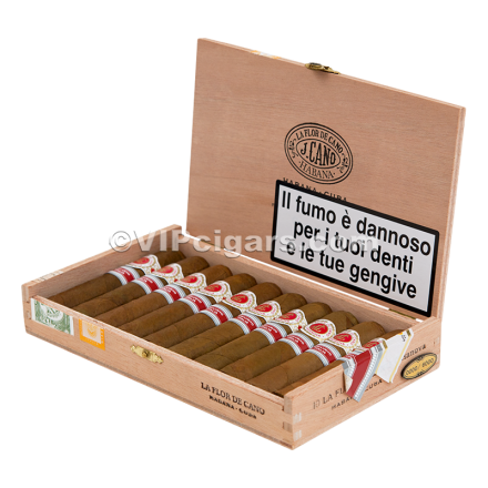 La Flor De Cano Casanova Italy RE 16