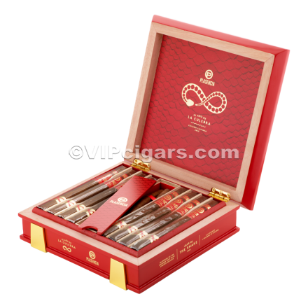 PLASENCIA Year Of The Snake