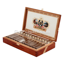 Ashton Esg 21 Year Salute