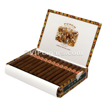 Punch Punch - Punch - Special Bundle