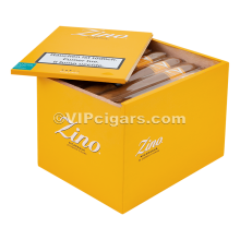 Zino Nicaragua - Gordo