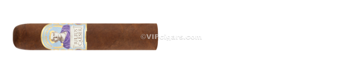 DIAMOND CROWN Julius Ceaser - Robusto