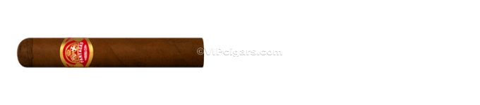 Partagas Shorts